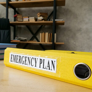 Emergency Preparedness for Children with Disabilities